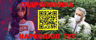 прущие крисы Краснокаменск